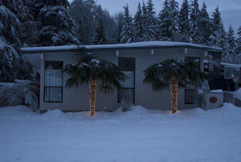 Snowly Lights